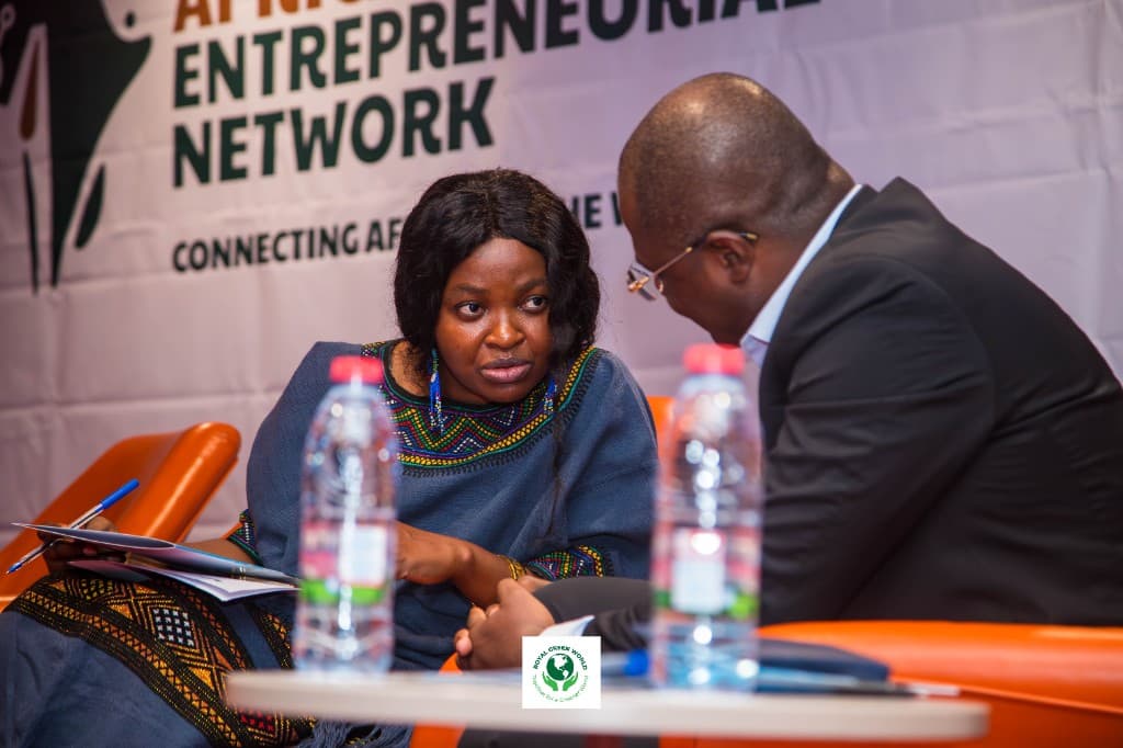 Two participants in conversation in front of the African Social Entrepreneurial Network backdrop